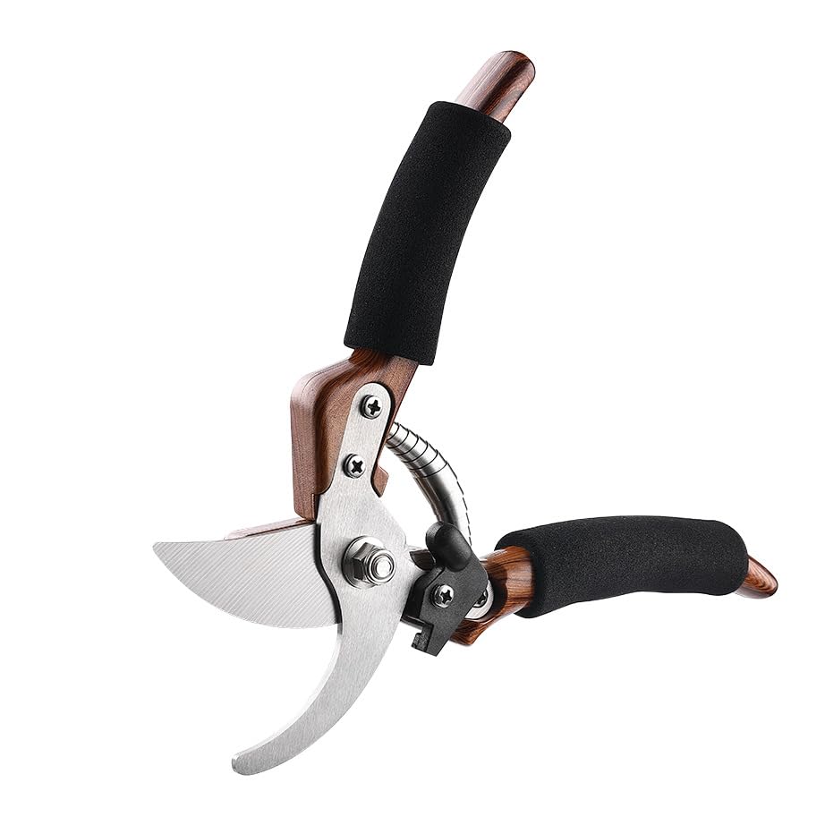 HASTHIP® 8 HASTHIP® 8